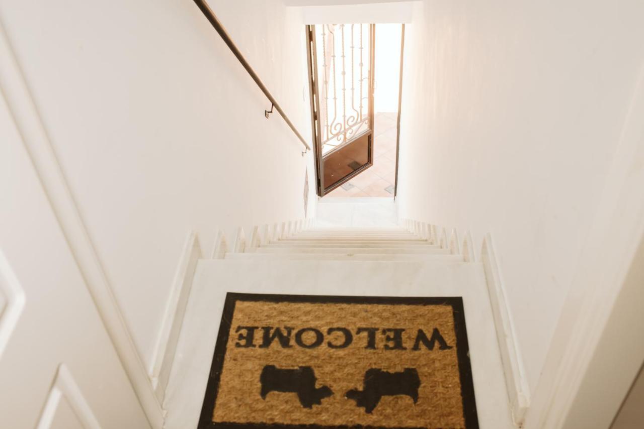 Apartamento Circo Romano- con vistas al Circo Petfriendly Mérida Esterno foto